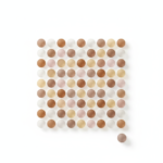 Abstract circles in muted earth tones with one subtly offset, representing early perception that has not yet been socially aligned.